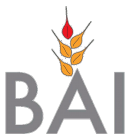birra bai - ha scelto Telematico Accise per la gestione telematica delle accise doganali